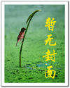 终极医主