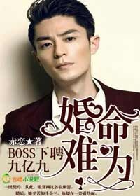 婚命难为，BOSS下聘9亿9