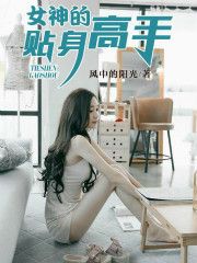 女神的贴身高手(风中的阳光)