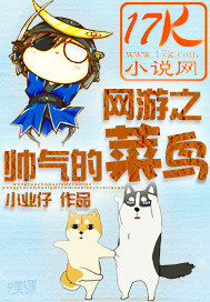 网游之帅气的菜鸟